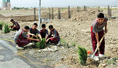 Azadi Plantation at Cadet College Wana