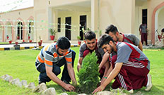 Azadi Plantation at Cadet College Wana