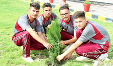 Azadi Plantation at Cadet College Wana