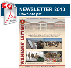 Newsletter 2013